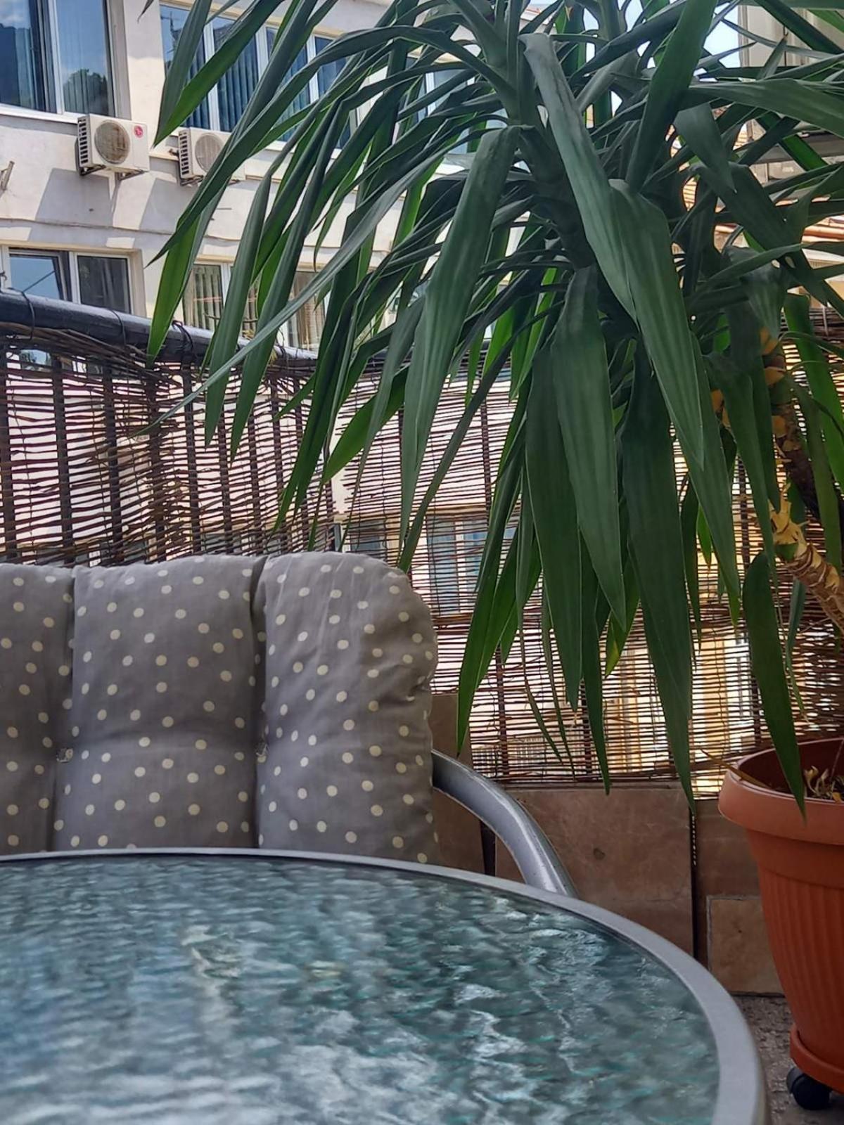 Brand New - Central Apartments سراييفو المظهر الخارجي الصورة